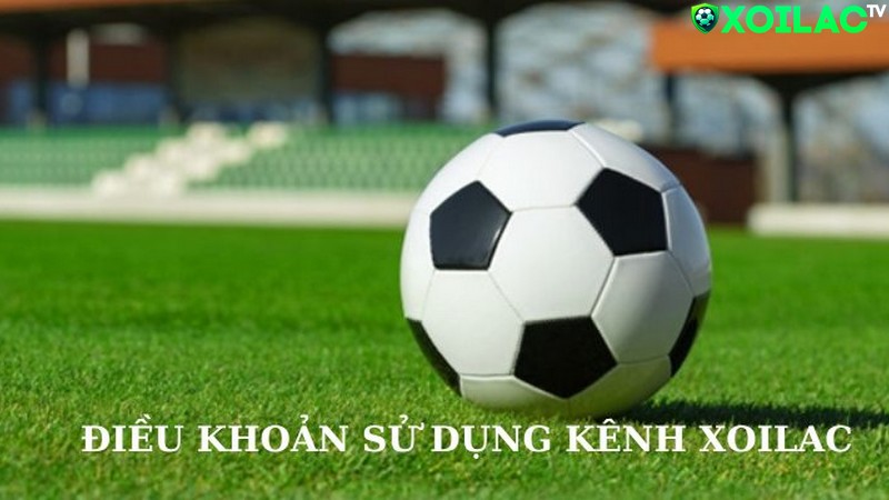 Quy định chung về điều khoản sử dụng Xoilac Quy định chung về điều khoản sử dụng Xoilac