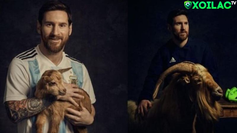 Đại đa số người hâm mộ bóng đá đều công nhận Messi GOAT Đại đa số người hâm mộ bóng đá đều công nhận Messi GOAT